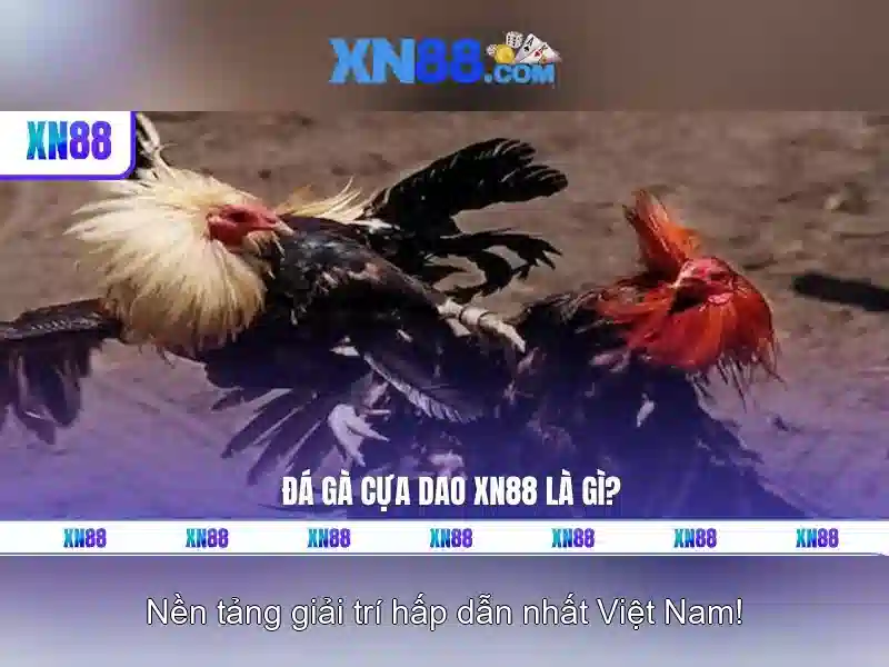 💎games casino 888slot lengbear poker slots💎