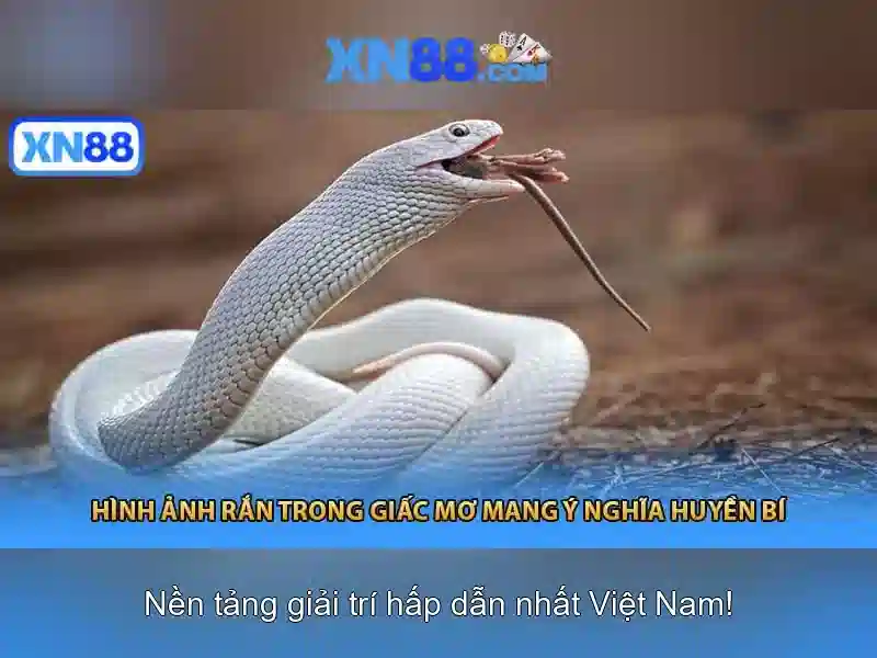 💎nhà cái g7💎
