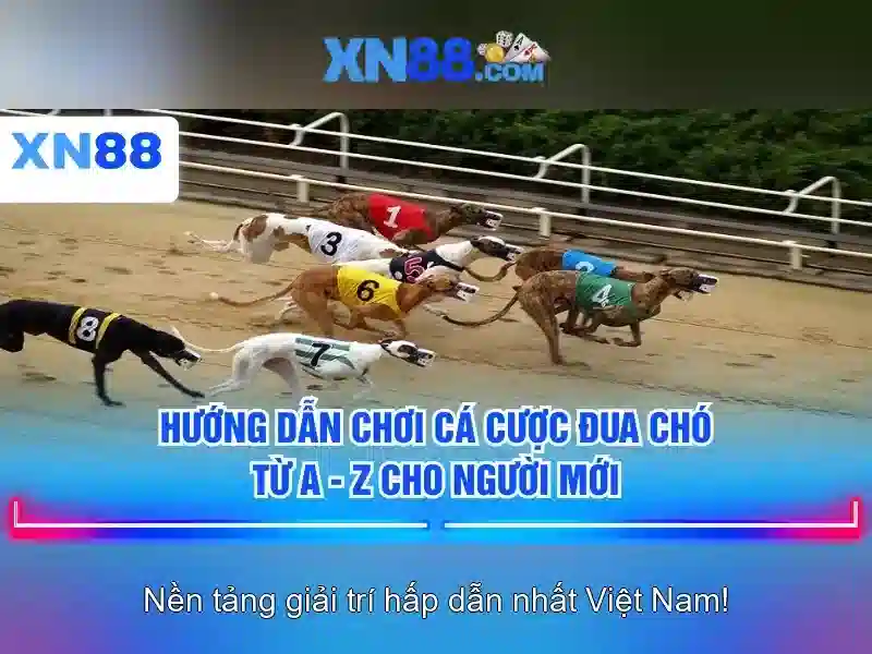 💎bom 69 slot💎