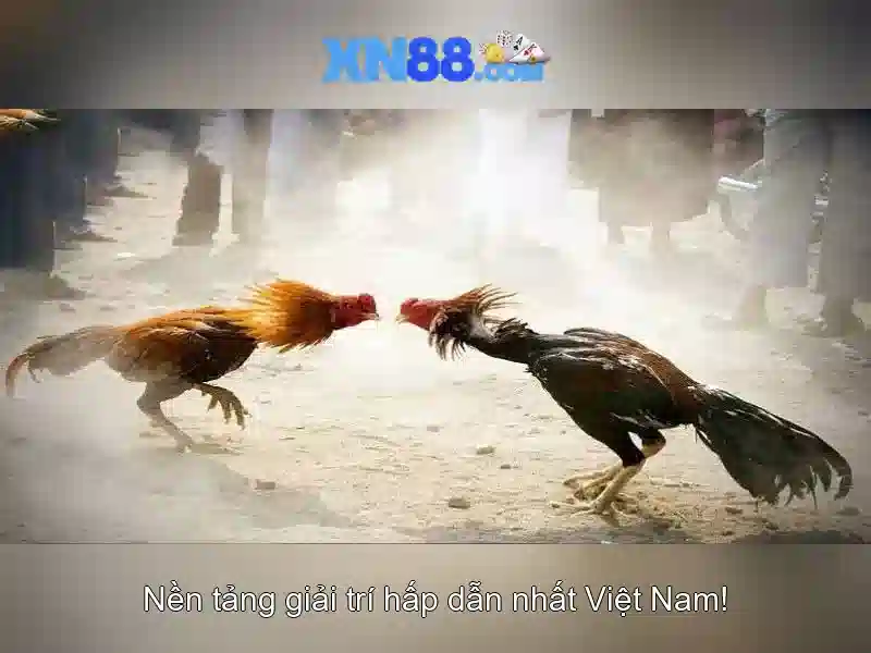 💎xn88 demo play💎