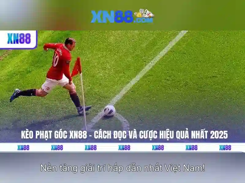 💎nightfall hunting hb88💎