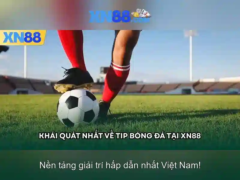 💎nước chủ nhà đăng cai aff cup 2022💎