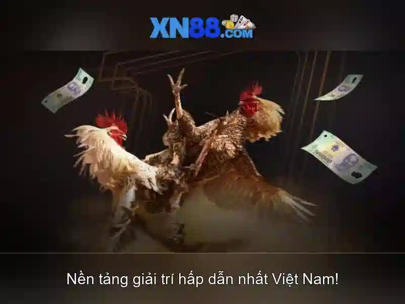 💎nha cai uy tin vn💎