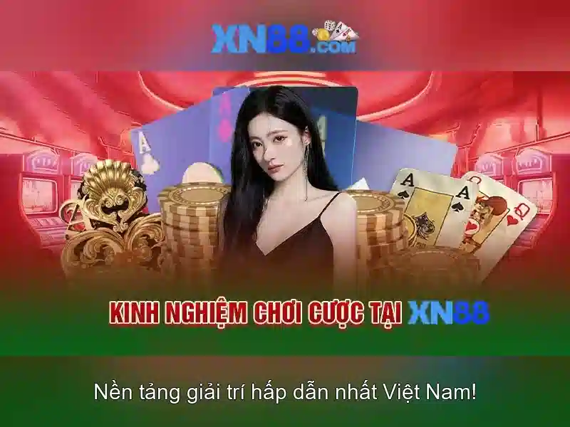 💎hướng dẫn đọc tỷ lệ cá cược bóng đá💎