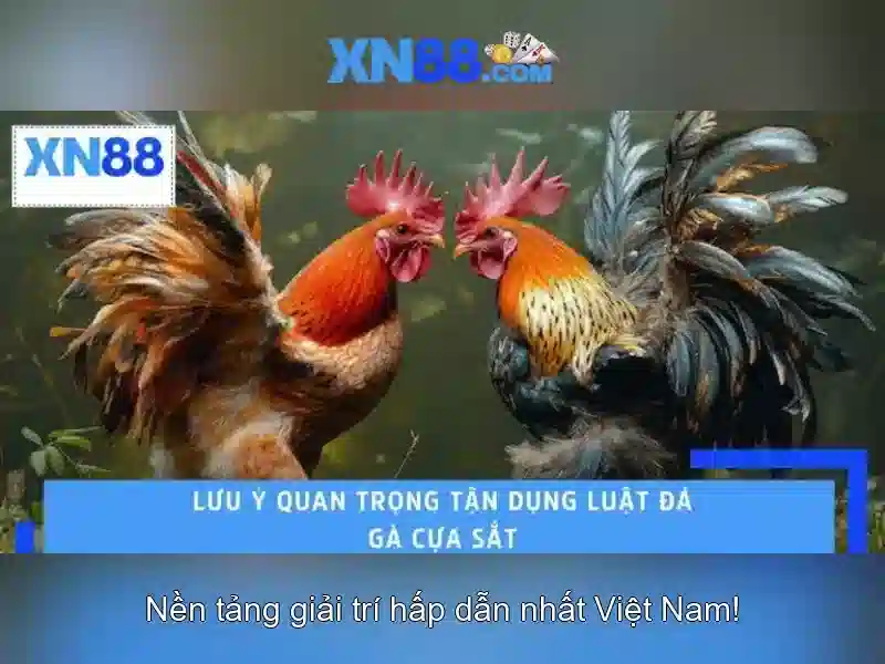 💎ong đánh giặc bác ba phi💎