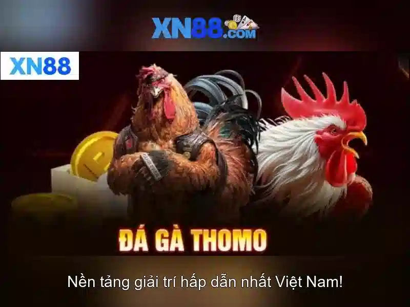 💎188 888 slot download💎
