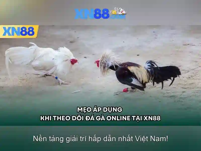 💎nhà cái uy tín nhà cái uy tín 888slot casino💎