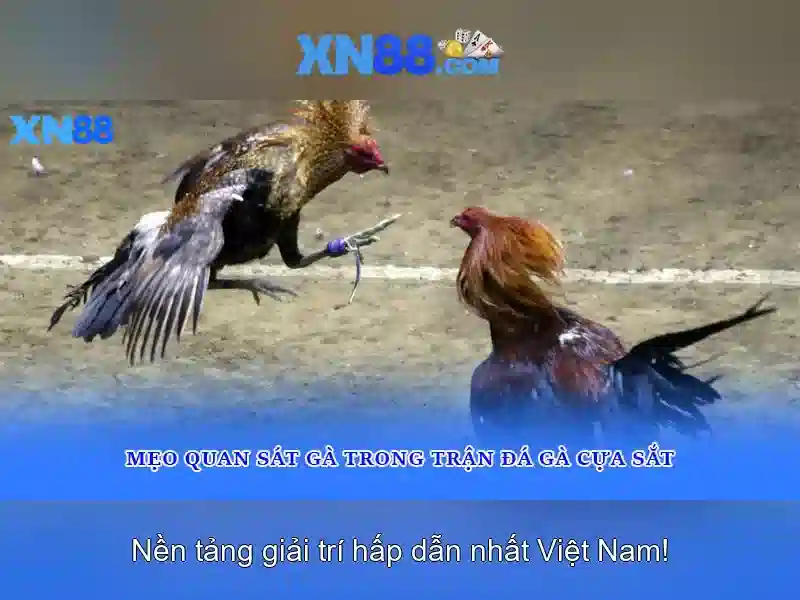 💎new88 link nhà cái💎