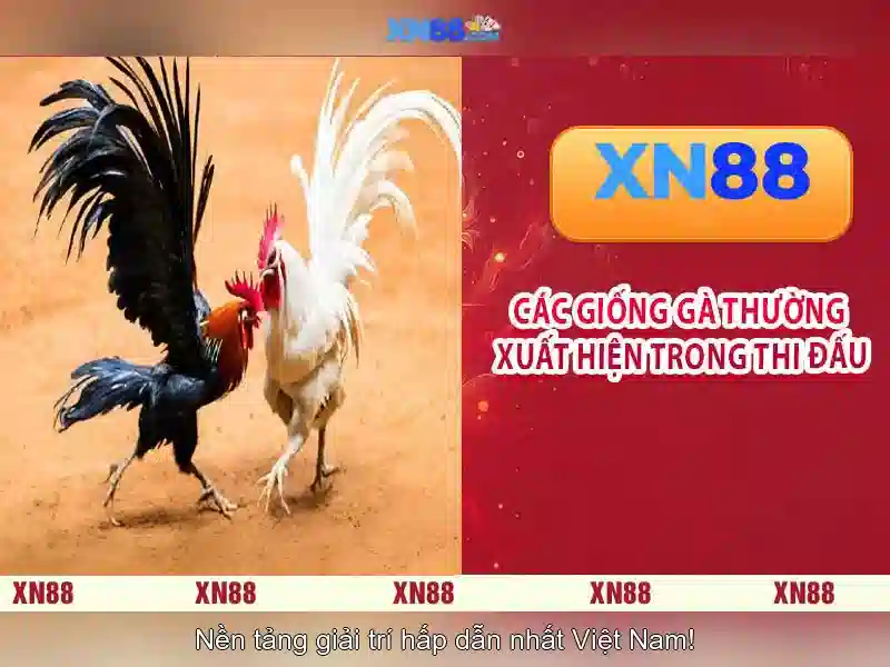slot online - XN88