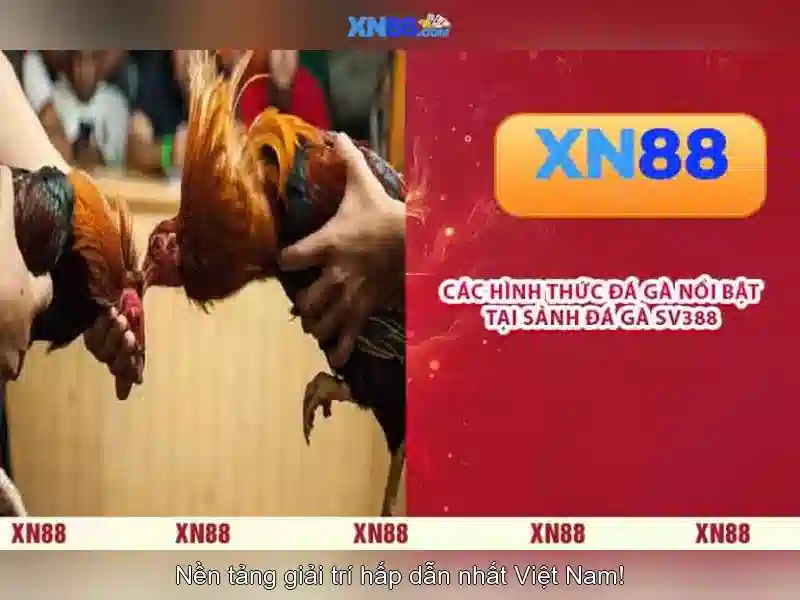 💎keo nha cai mu💎