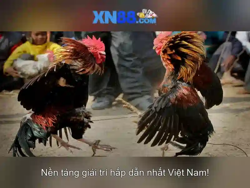 💎lũ băng của sông ngòi bắc a vào mùa nào💎