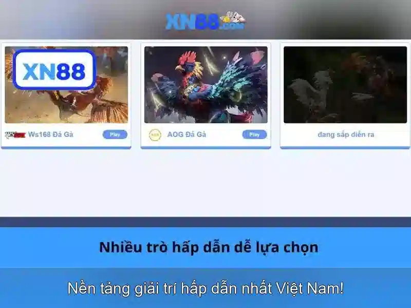 💎xn88 464💎