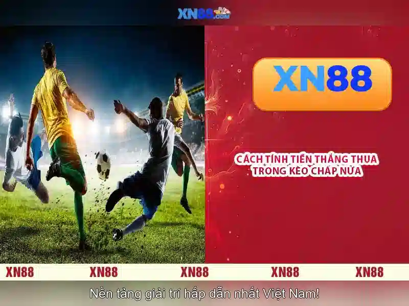 💎hb88 steel llp💎