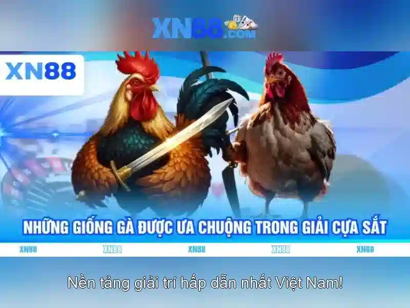 💎kèo nhà cái bình luận tiếng việt💎