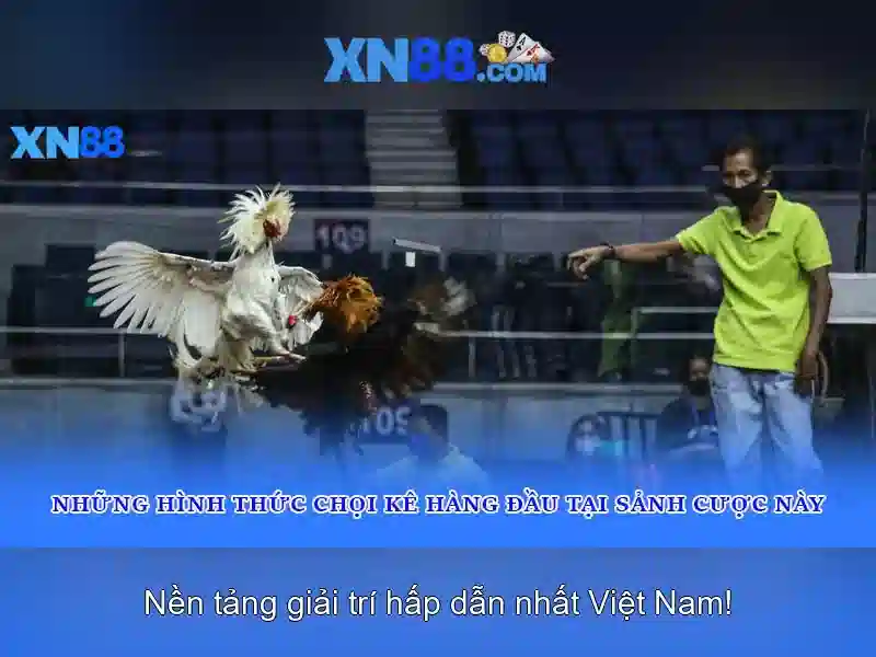 💎777 xn88 vip💎