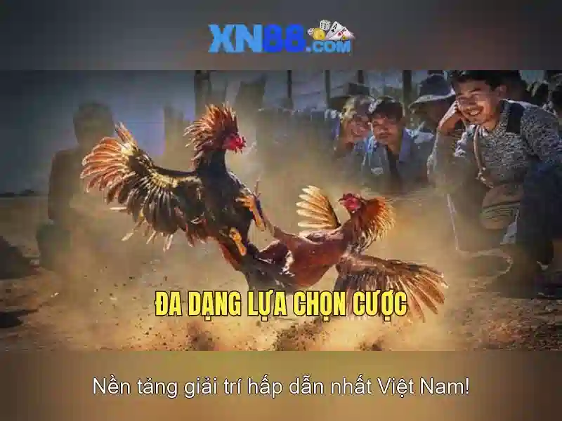💎top10 nhà cái uy tín hiện nay💎
