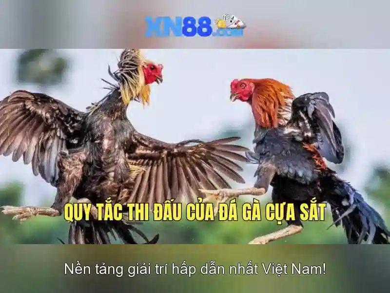 💎nhà cái uy tín 8168.com💎