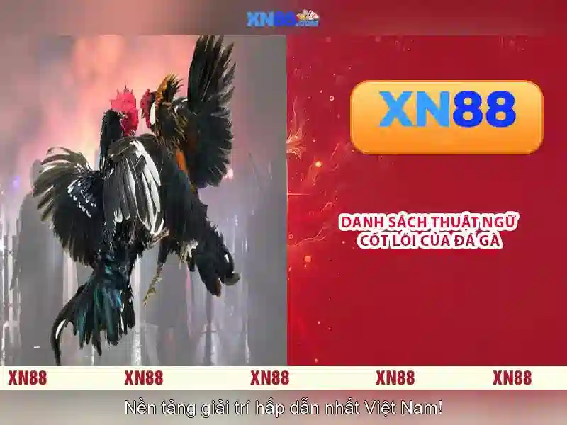 💎trang cá cược bóng đá ich💎