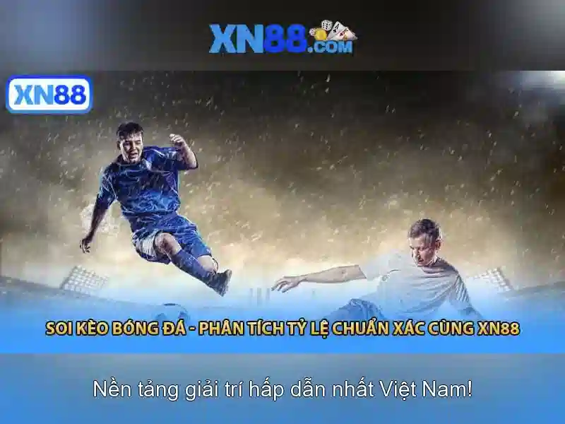 💎trang cá cược bóng đá sds💎