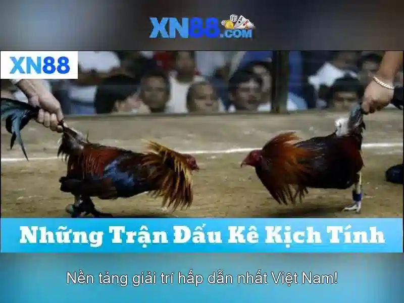 💎hb88 slot pec zwolle💎