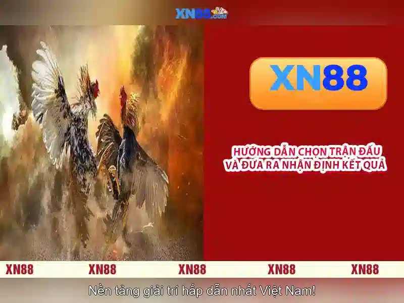 💎nhà cái 888 slot có uy tín không💎