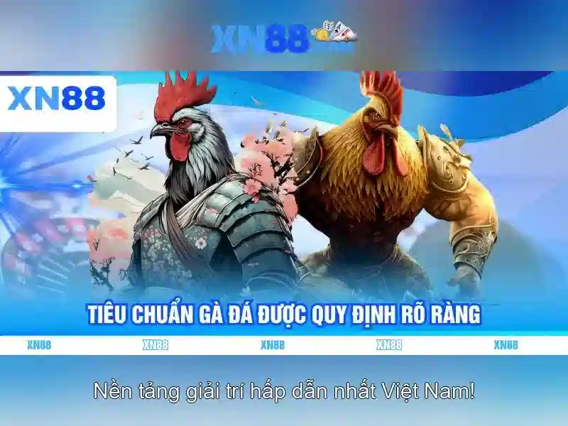  cược thể thao - XN88