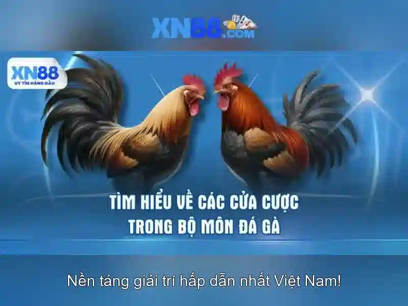 💎hi88 link vào nhà cái💎