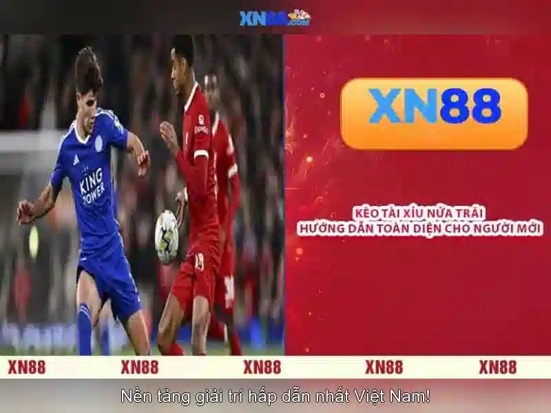 💎wild ace hb88💎