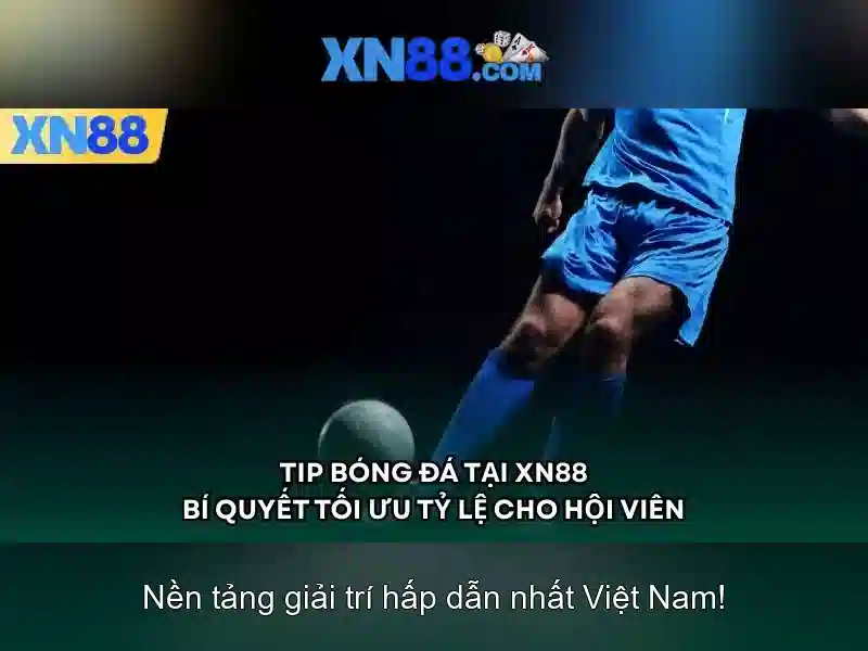 💎kaof nhà cái💎