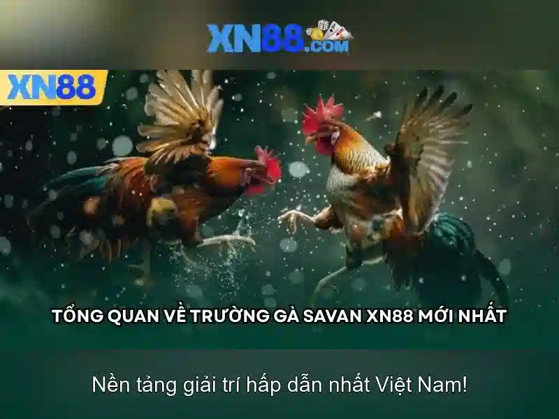 💎888slot media gmbh💎