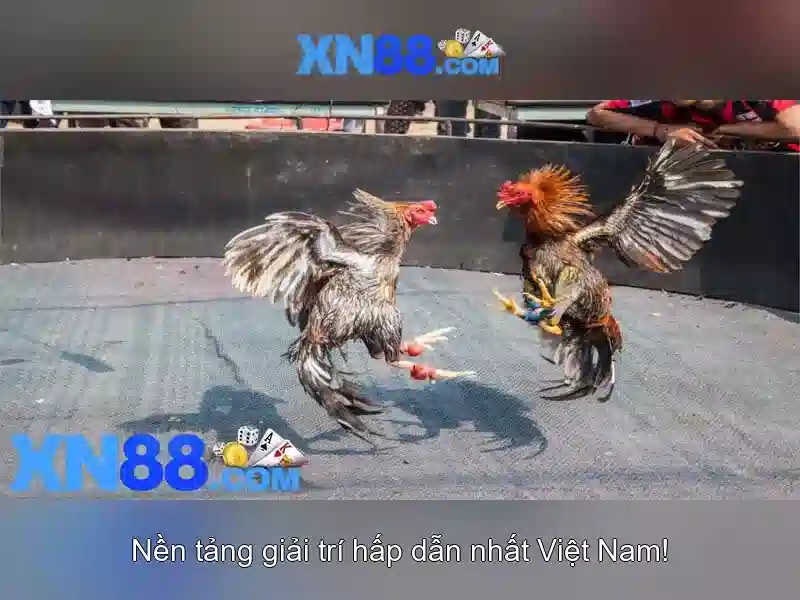 💎hb88 gaming slot games malaysia💎