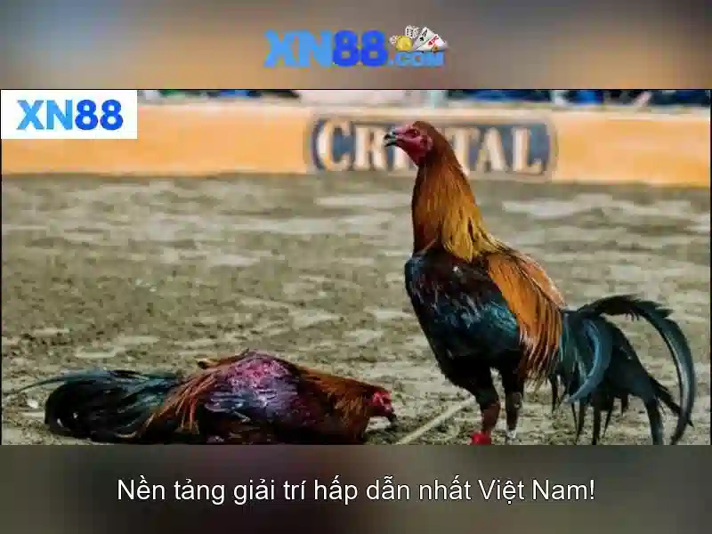 💎time slot planner online💎