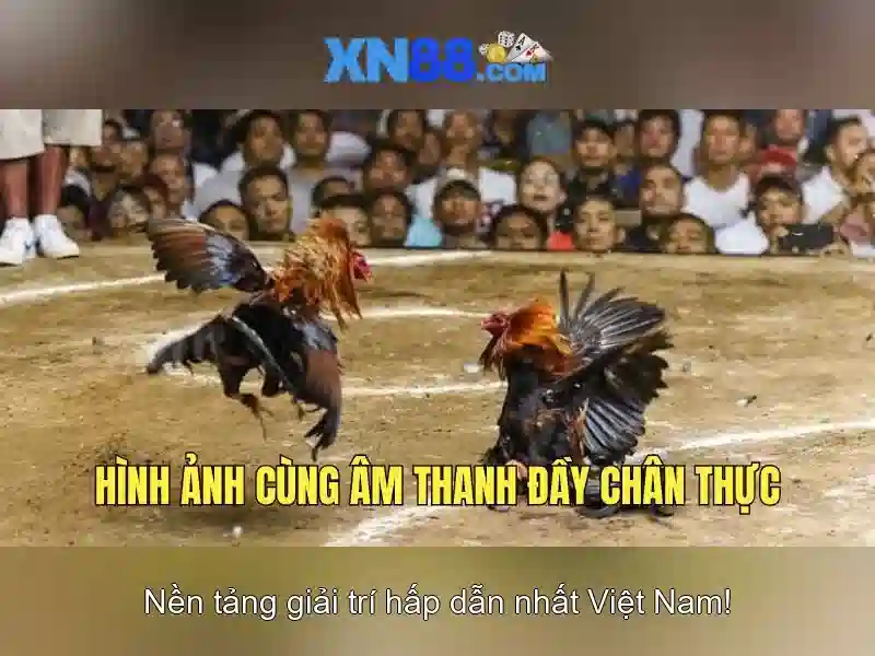 💎trò chơi xn88 lucky xn88 slots💎