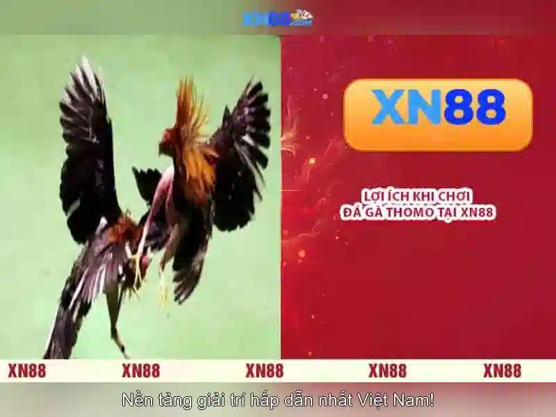 💎soi cầu win 8888💎