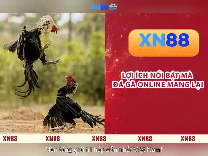 💎fruit roulette slot💎