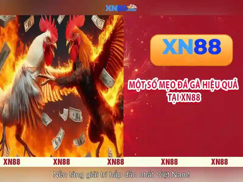 💎slot hb88 gacor💎