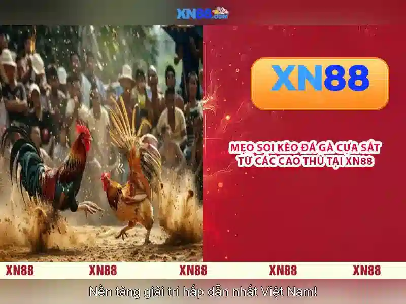 💎kèo nhà cái 3 men💎