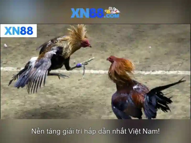 💎sông bạc liêu💎