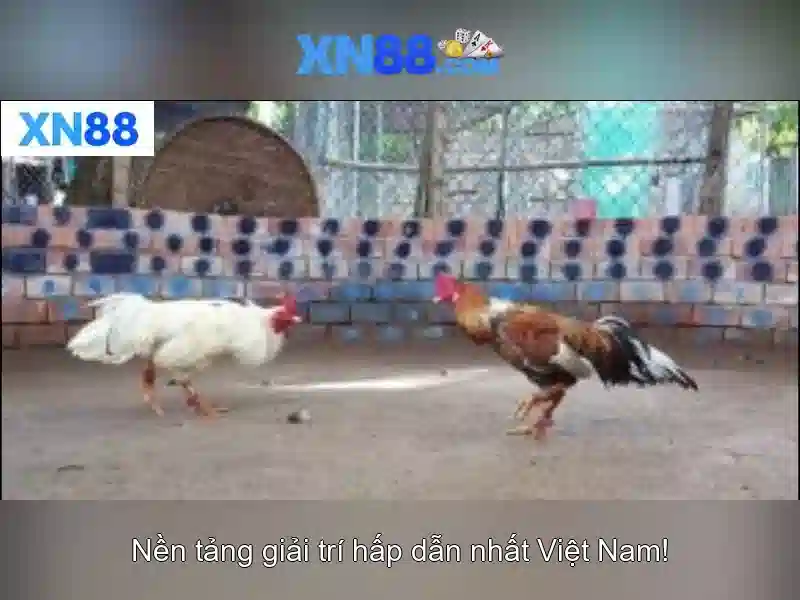 💎bocoran slot gacor hari ini 2022💎