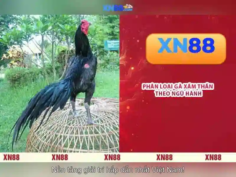 💎roma x 888 slot💎