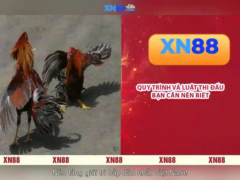 💎888 slot 1111.com💎