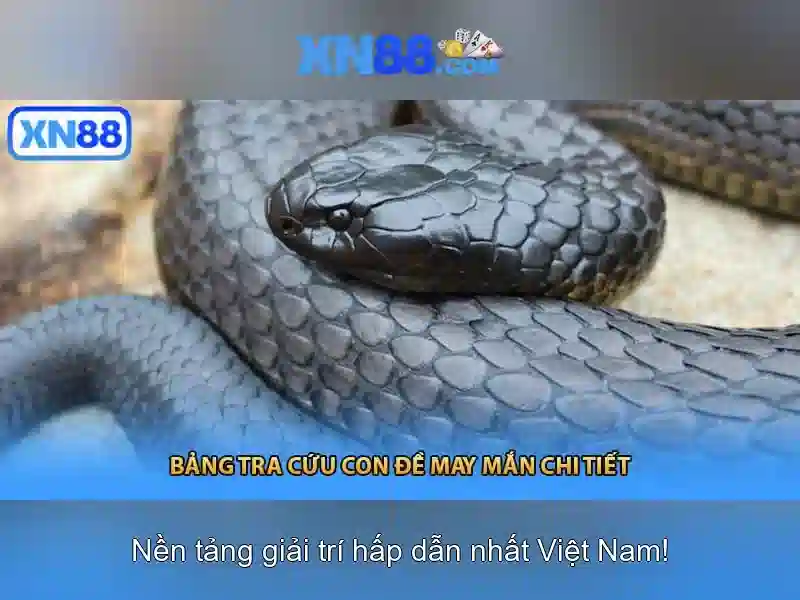 💎best slots in vegas 2020💎