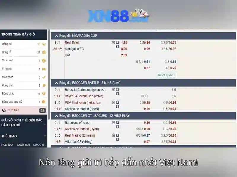 💎trang cá cược bóng đá enppi💎