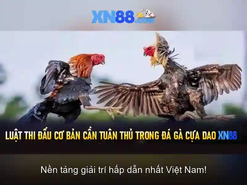 💎mơ thấy người bác đã mất đánh con gì💎