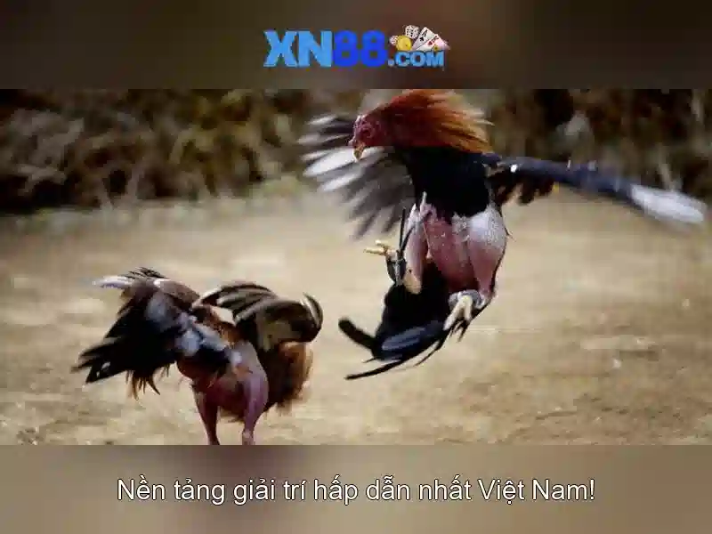 💎nha cai uy tin 2022 tien cuoc mien phi💎