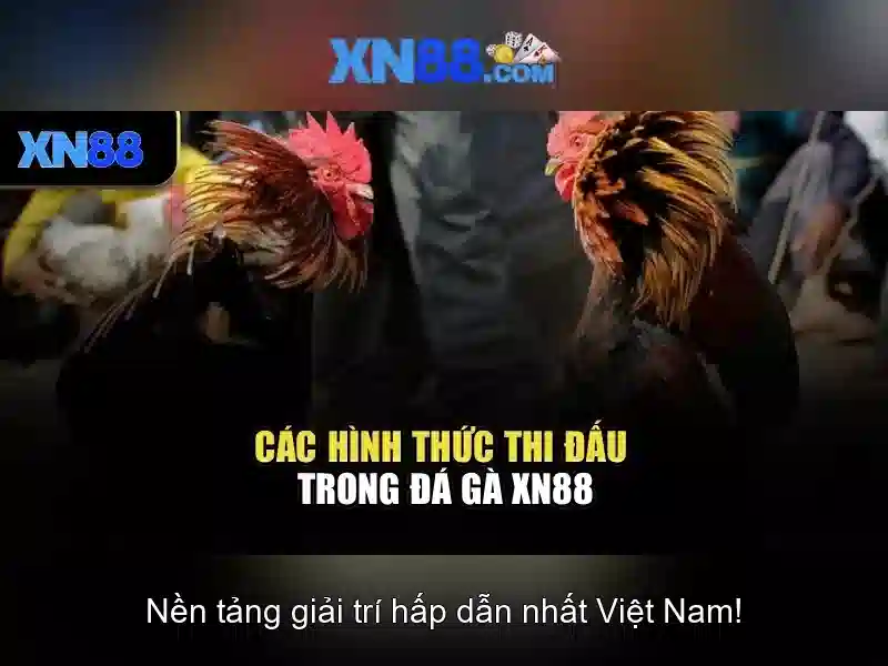 💎lối sống vô ơn bạc nghĩa là gì💎