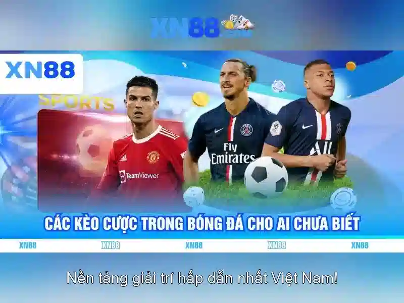 💎app cá cược fi88💎