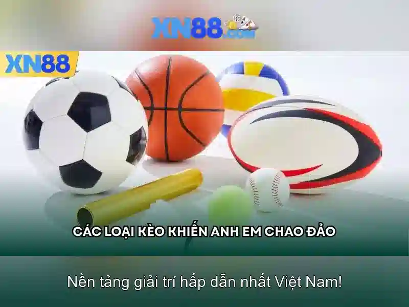 💎66b mới💎 - 66b nguyễn sĩ sách phường 15 tân bình - 66b uy tín không
