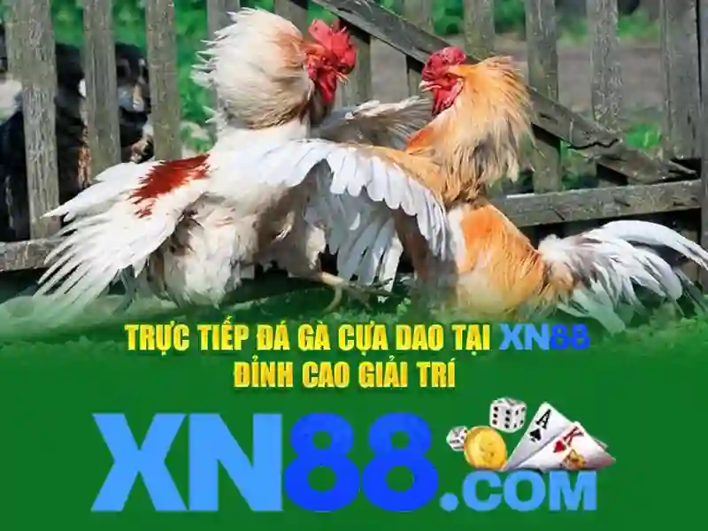 💎kèo nhà cái keo top.com💎